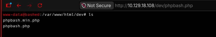 Acceso a phpbash.php
